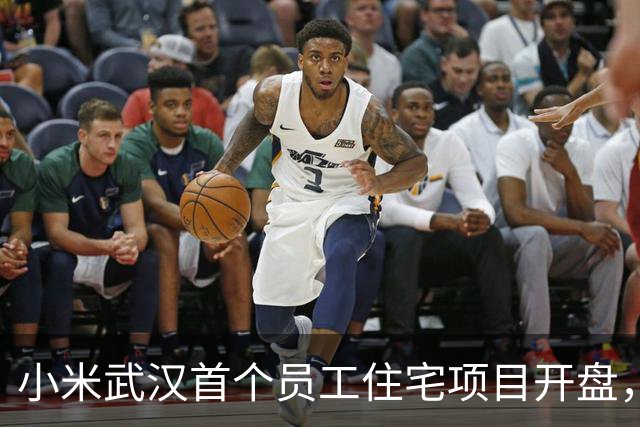 小米武汉首个员工住宅项目开盘，光谷梦享家备案均价13885元/平方米