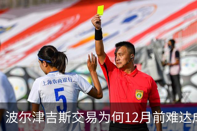 波尔津吉斯交易为何12月前难达成？美记点出两大障碍