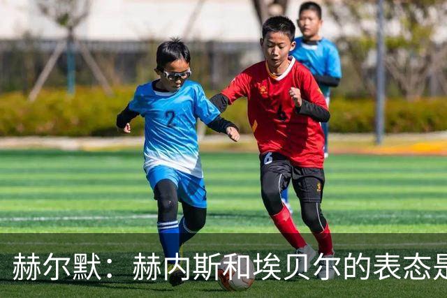 赫尔默：赫内斯和埃贝尔的表态是在警告卡尔，他需要改进