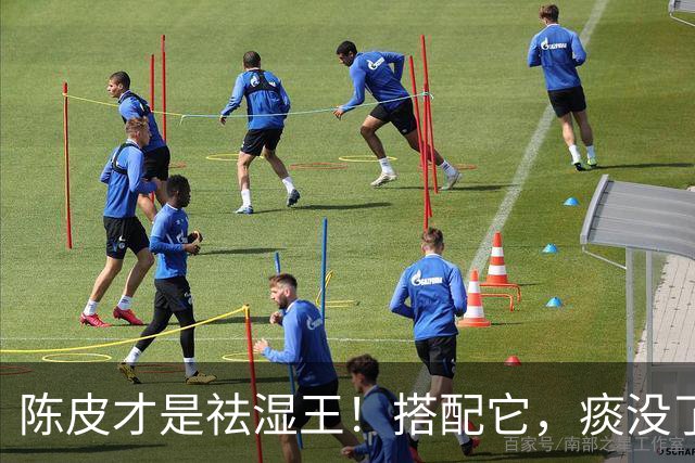 陈皮才是祛湿王！搭配它，痰没了、湿走了，越喝越润