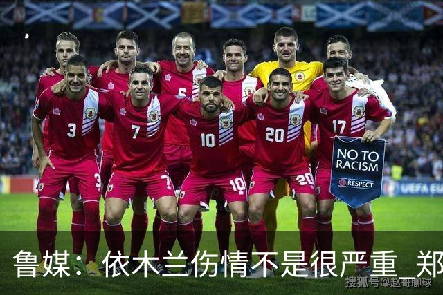 鲁媒：依木兰伤情不是很严重 郑铮的未来要等手术后才能有结果